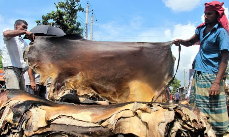 দেশে কোরবানির পশুর চামড়ার দাম নির্ধারণ
