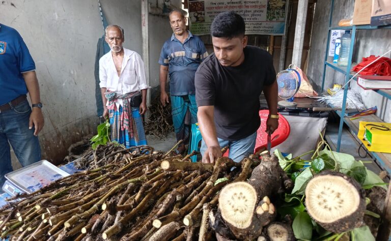 বাগেরহাটে চুইঝালের ঝাঁজে সরগরম ঈদের বাজার, বেড়েছে দামও