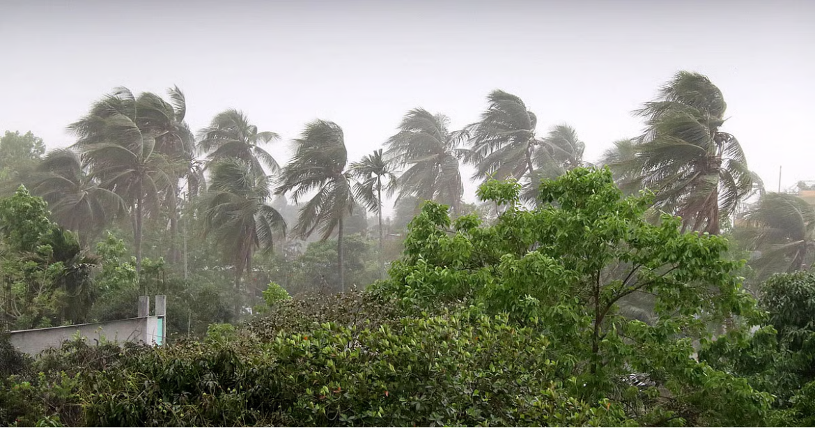 দেশের ৮ বিভাগে আগামী ৪৮ ঘণ্টার মধ্যে সর্বোচ্চ ৮০ কিলোমিটার বেগে কালবৈশাখী ঝড়ের আশঙ্কা রয়েছে বলে জানিয়েছে আবহাওয়া অধিদপ্তর।