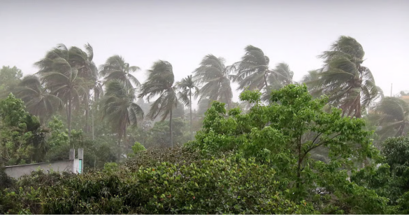দেশের ৮ বিভাগে আগামী ৪৮ ঘণ্টার মধ্যে সর্বোচ্চ ৮০ কিলোমিটার বেগে কালবৈশাখী ঝড়ের আশঙ্কা রয়েছে বলে জানিয়েছে আবহাওয়া অধিদপ্তর।