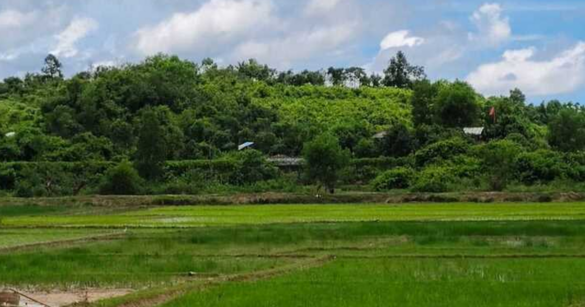বান্দরবান জেলার নাইক্ষ্যংছড়ি উপজেলায় শূন্যরেখায় স্থলমাইন বিস্ফোরণে ৩ বাংলাদেশি নিহত হয়েছেন।