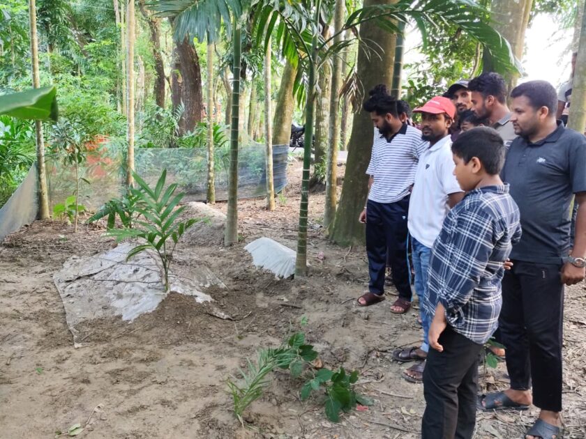 সুগন্ধি আসছে, স্বপ্নে বলেছেন বেঁচে আছেন: তরুণীর কবর খুঁড়ে যা পেল স্বজনরা
