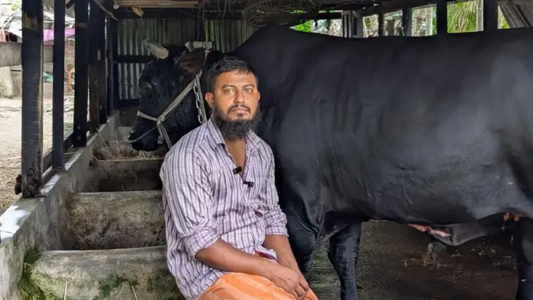 খালেদা জিয়াকে ‘কালো মানিক’ উপহার দিতে চাওয়া সেই সোহাগ গ্রেপ্তার