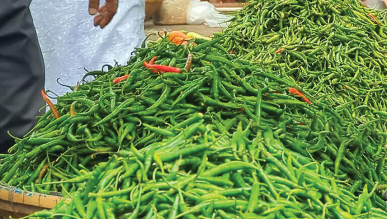 রাজধানীতে কাঁচা মরিচ ৪০০ ছুঁইছুঁই