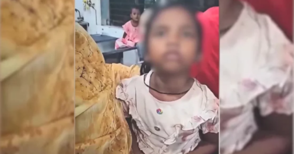 পোষা বিড়াল আঁচড়ের পর ৫ বছর বয়সী এক শিশুর অস্বাভাবিক আচরণের একটি ভিডিও সামাজিক মাধ্যমে ভাইরাল হয়েছে।