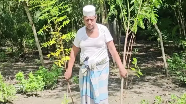 ৩০ বছর ধরে গাছ লাগিয়ে সড়কের চিত্র বদলে দিলেন মসজিদের ইমাম