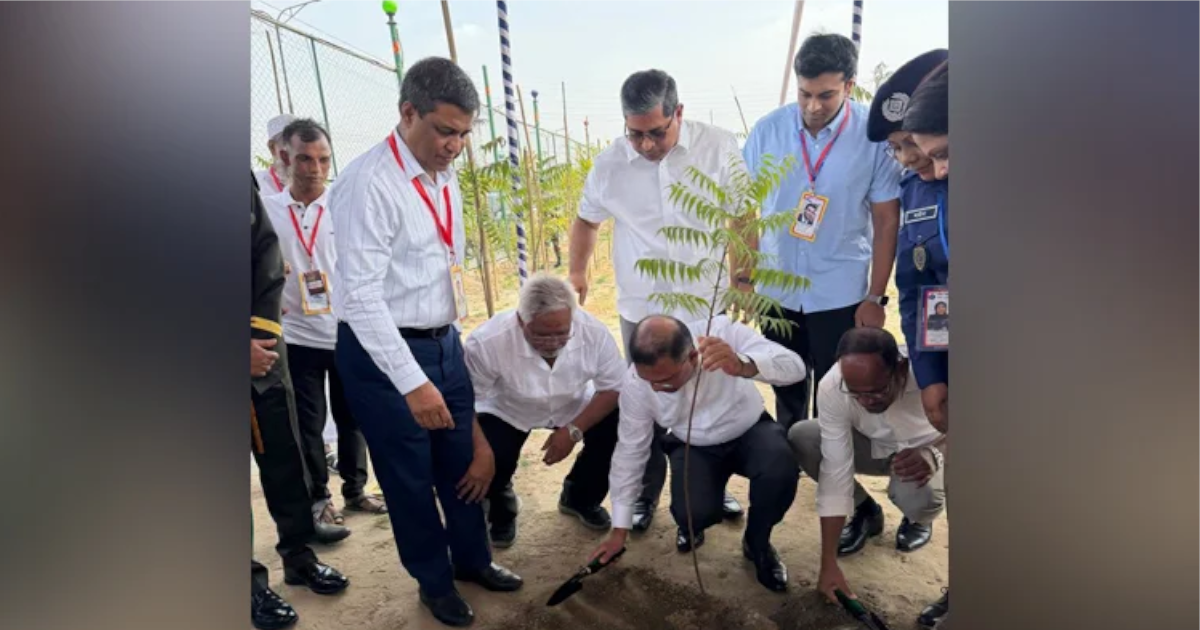 ঢাকা-আরিচা মহাসড়কে ‘সবুজায়ন কর্মসূচি’ উদ্বোধন করলেন প্রধানমন্ত্রী