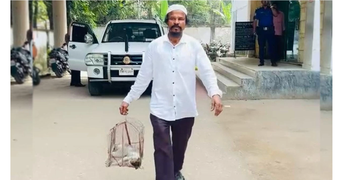 পোষা বিড়ালকে পিটিয়ে হত্যা, বিচার চেয়ে মৃতদেহ খাঁচায় নিয়ে থানায় মালিক