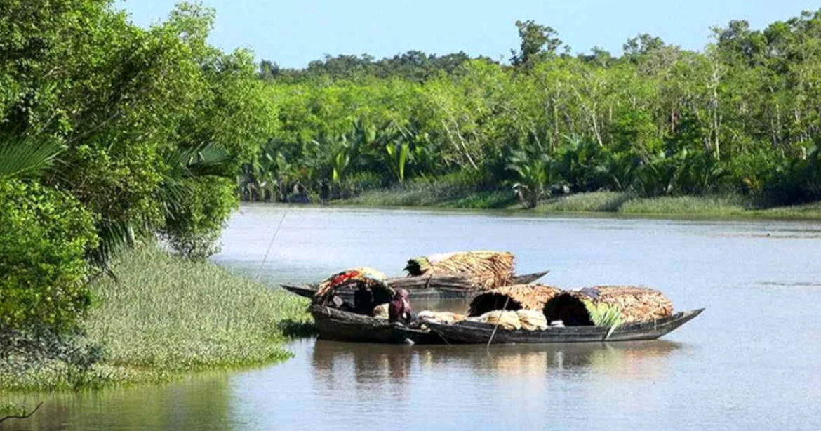 বিশ্ব ঐতিহ্য সুন্দরবনের সাতক্ষীরা রেঞ্জসহ বিভিন্ন এলাকায় আবারও বনদস্যুদের তৎপরতা নিয়ে উদ্বেগ বেড়েছে।