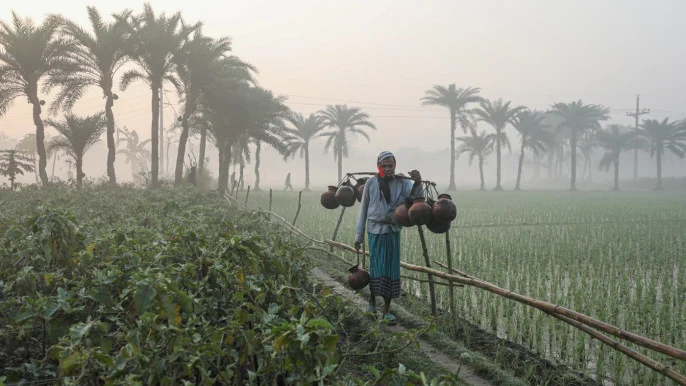 পঞ্চগড়ে তাপমাত্রা নেমেছে ১৭ ডিগ্রিতে, বাড়ছে শীতের অনুভূতি